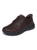 Skechers Sneakers Low Pollard - Colt in braun