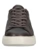 GANT Footwear Sneaker in Dunkelbraun