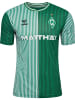 Hummel Trikot S/S Wer 23/24 Home Jersey S/S in EDEN