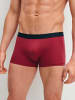 Calida New Boxer, 3er-Pack in garnet