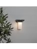 STAR Trading LED Solar-Wandleuchte ,Valta', Bewegunsmelder, Dämmerungssensor, anthr