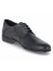 LLOYD Businessschuhe LEVIN in schwarz