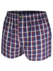 green panther Webboxershorts 6er Pack in Rot / Navy Karo