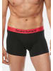 Bruno Banani Retro Short / Pant Flowing in Magenta / Schwarz