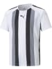 Puma Sportshirt "TeamLIGA Striped Jersey Jr" in Weiß