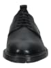 Geox Businessschuhe in Schwarz
