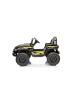 Wisam® Elektrische Fahrt Auf CH9956