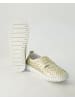 Terry Slipper in Gold