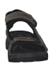 Ecco Klassische Sandalen in VETIVER/WILD DOVE