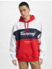 TOMMY JEANS TOMMY JEANS Hoodie in crimson/multi bunt0