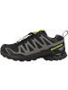SALOMON Laufschuhe XA PRO 3D V9 GTX in dunkelgrau