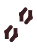 Falke Socken 4er Pack in Dunkelrot