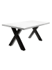 58 aufm Kessel ESSZIMMERTISCH Eike 8 160 x 90 x 75 Esstisch Schwarzstahl/Weiß Matt Lack