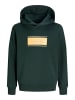 JACK & JONES Junior Kapuzenpullover in Scarab