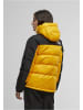 The North Face The North Face Winterjacken in summit gold