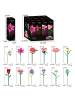 WOMA WOMA 11543 Wildblumen 12in1 Klemmbaustein Set ab 6 in Mehrfarbig