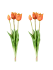 Creativ green 2er Set: Deko-Tulpenbund in orange