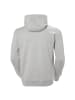 Helly Hansen M HH LOGO HOODIE in Steingrau