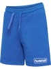 Hummel Hummel Kurze Hose Hmlbally Multisport Jungen Atmungsaktiv in NEBULAS BLUE