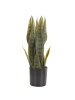 Beliani Kunstpflanze SNAKE PLANT in Grün/Schwarz - (W) 10 x (H) 40 x (L) 10 cm