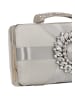 usha BLACK LABEL Women Purse in Silver