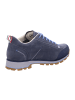 DOLOMITE Wanderschuhe 54 Low Fg Evo GTX in Blau