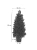 MCW Weihnachtsbaum R29