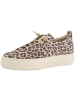Paul Green Sneaker in Leopard