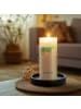 Mr. & Mrs. Panda Wachskerze Krokodil ohne Spruch in Weiß