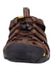 Keen Sandalen in Dunkelbraun/Schwarz