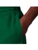 Nike Badeshorts 5" Volley Shorts in Grün