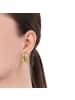 Amor Creolen Edelstahl, IP gold in Gold