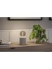 paulmann LED Rustic Shine G95 E27 170lm 4,2W 1800K S 3-step-dim smoke 230V