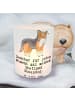 Mr. & Mrs. Panda Deko Windlicht Shetland Sheepdog Moment mit Spruch in Transparent