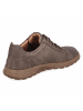 Josef Seibel Schnürhalbschuh in brown