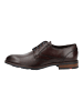 LLOYD Businessschuhe DRAMON 110 Dunkelbraun