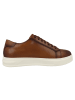 Clarks Sneaker low Goswell Tie in hellbraun