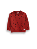 Coccodrillo Langarmshirt in dunkelrot