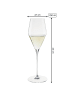 Spiegelau 2er Set Champagnergläser + Poliertuch Definition 250 ml transparent in transparent