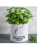 Mr. & Mrs. Panda Blumentopf Groß Einhorn Pupsen mit Spruch in Weiß