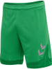 Hummel Hummel Shorts Hmllead Fußball Herren Schnelltrocknend in JELLY BEAN