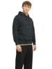 Jack & Jones Sweatshirt JORFREDERIKSBERG in Grün