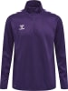Hummel Halbreißverschluss Sweatshirt Hmlcore Erwachsene in ACAI/WHITE