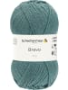 Schachenmayr since 1822 Handstrickgarne Bravo, 50g in Aqua