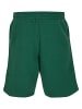 Rocawear Rocawear Shorts in green