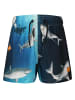 Zigzag Boardshorts Sealife in Print 3769 Sharks