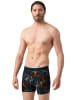 Muchachomalo 2er-Set: Boxershorts in Multicolor/Green