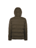 braelyn Herren Steppjacke in Helloliv