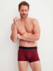 Calida New Boxer in garnet