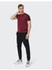 Venice Beach T-Shirt VBM Ian in burgundy